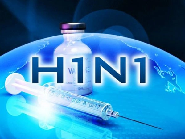 swine flu | rajkot