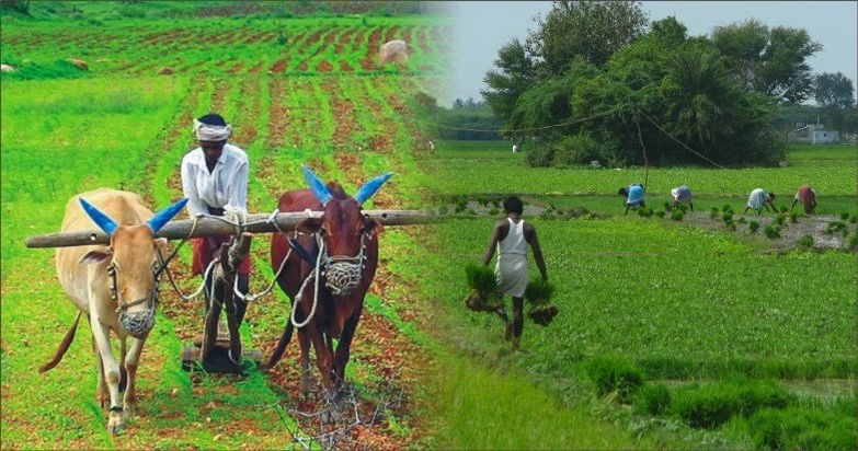 national | indian farmer | agree cultural