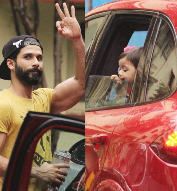Shahid Kapoor | Bollywood | Entertainment