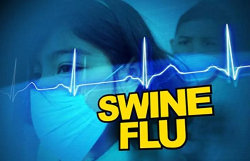 Distribution Of Ayurvedic Biscuits By The Corporation To Tackle Swine Flu