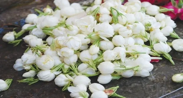 Gajara Flower