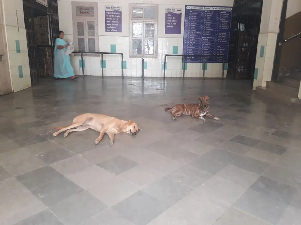 Civil Hospital'S Medical Officer'S Residential Office?