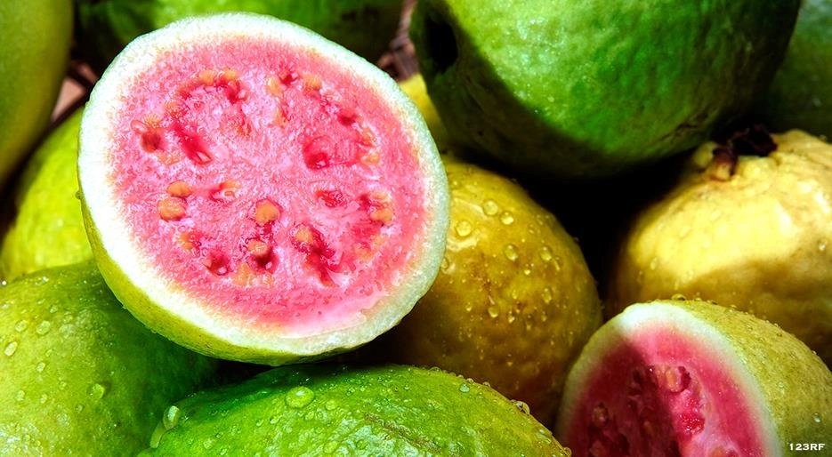 Guava