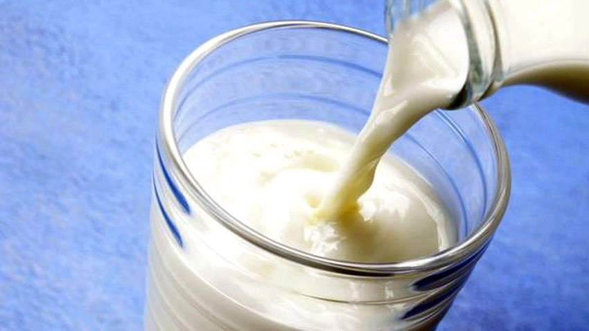 Jamnagar procures a fake milk scam