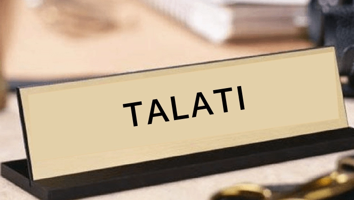 Talati Mantri