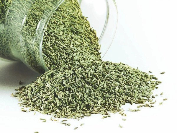 Fennel-seeds