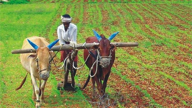 Indian Farmer life.jpg