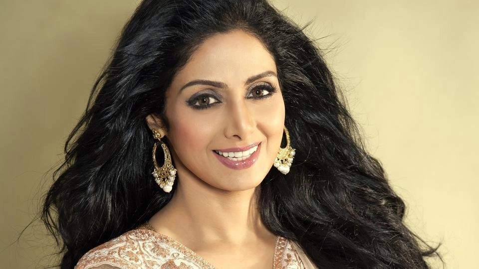 actor sridevi photo vickky idnaani b6aef290 1a2c 11e8 8f49 ddf93c7ed473