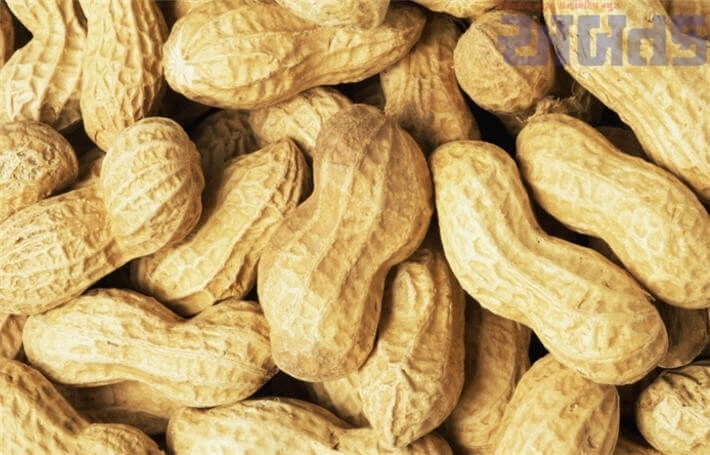 ground nut