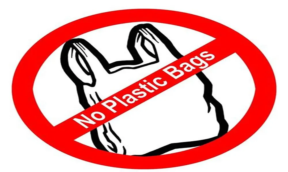 1490679635 No Plastics.jpg