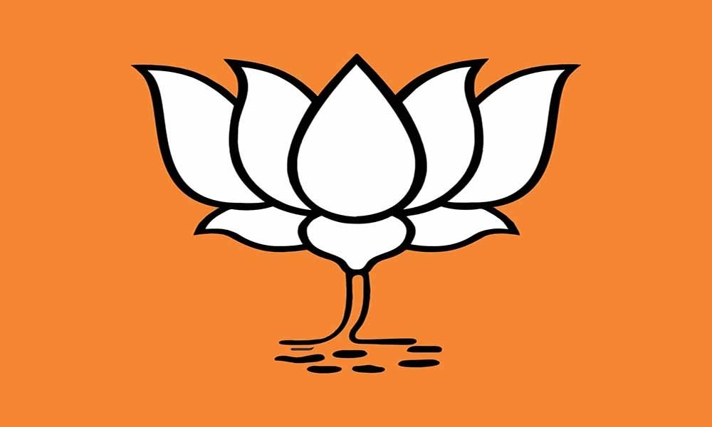 BJP KAMAL 1.jpg