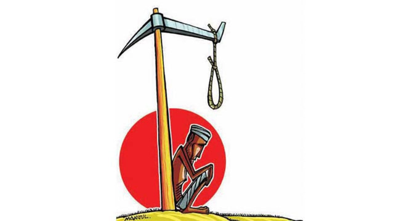 12-farmers-are-suicidal-in-maharashtra