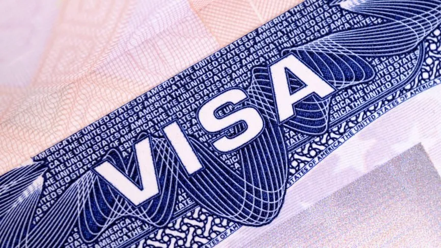 O Visa Usa Explainer Lead
