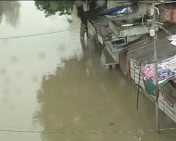 Vadodara Vish 4.Jpg