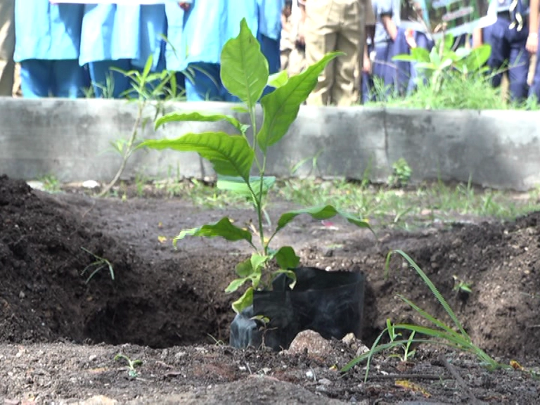 construction-of-remembrance-in-memory-of-natural-beneficiaries-planting-of-dignitaries-at-saurashtra-university