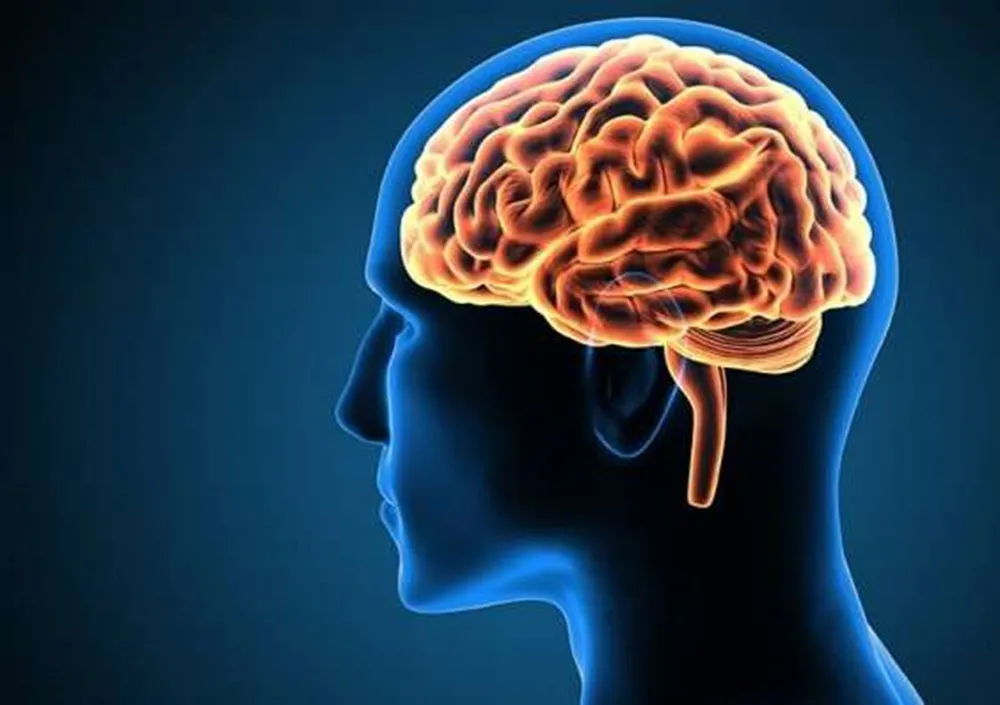 20 Neuroscienti.jpg