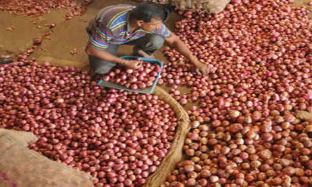 What Exactly Is The Problem With Onions.jpg