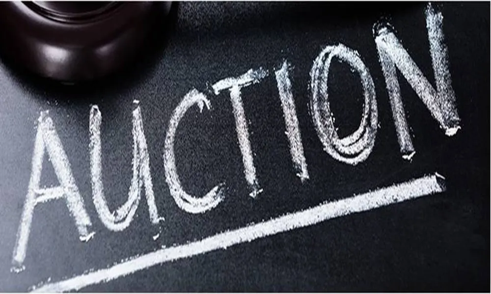 Auction Market Participation Aum