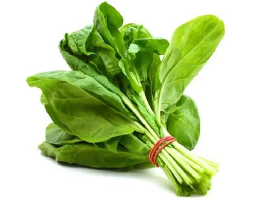 Fresh Spinach 28Palak 29 281Kg 29 500X500
