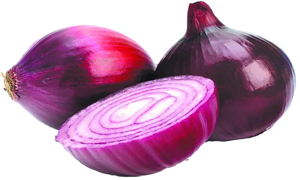 Onion1.Jpg