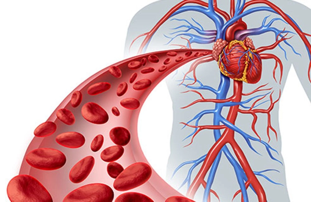 493ss thinkstock rf circulation illustration.jpg