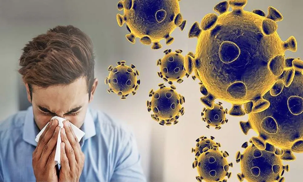 Coronavirus Graphic Web Feature 5832537 835X547 M.jpg