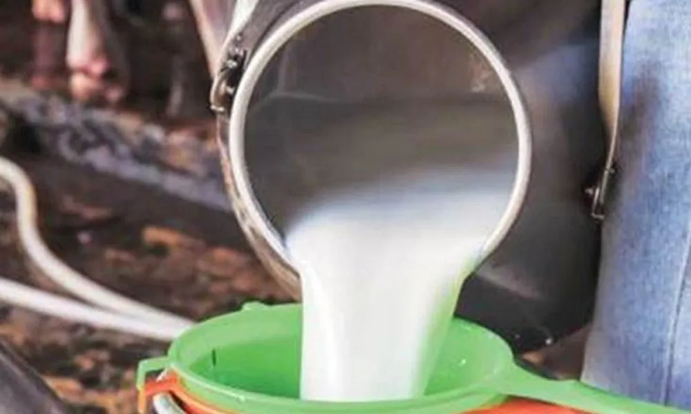 Milk8