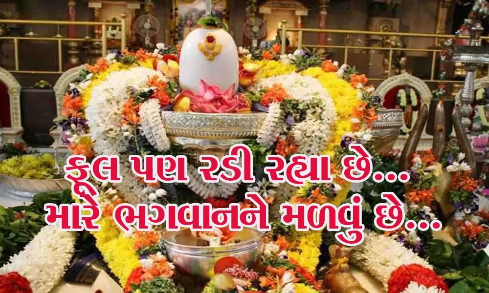Worshipthese Flowers Likes Godhindu Religionlor