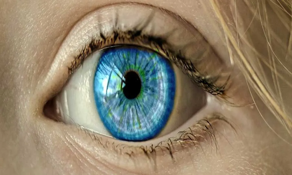 Eye 1173863 1280 Web 1024