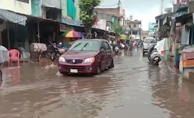 Rain.jpg