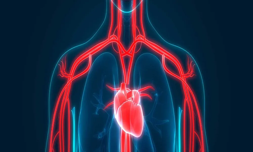 Heart Hero.jpg