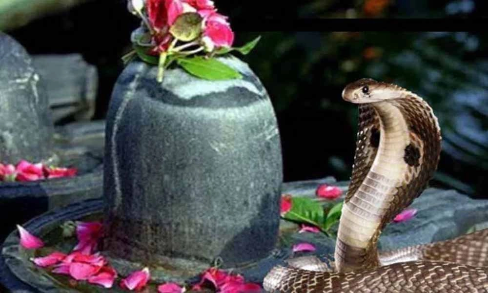 nag panchami