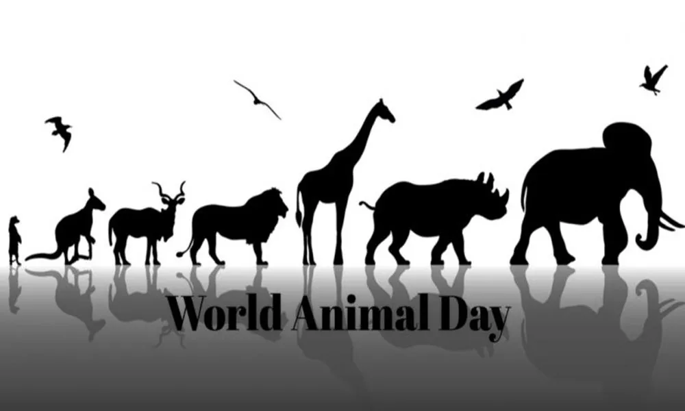 World Animal Day Ss 559680808 790X400 B