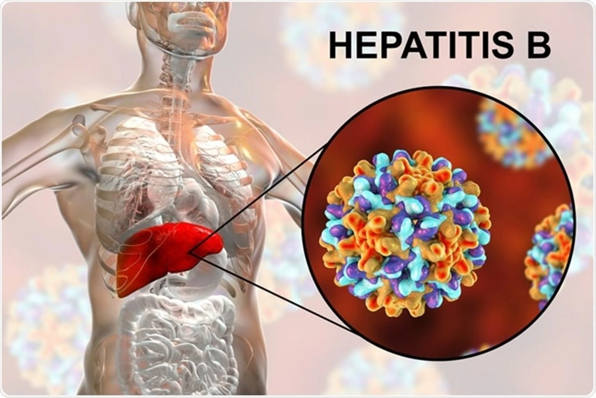 HEPITITIS B