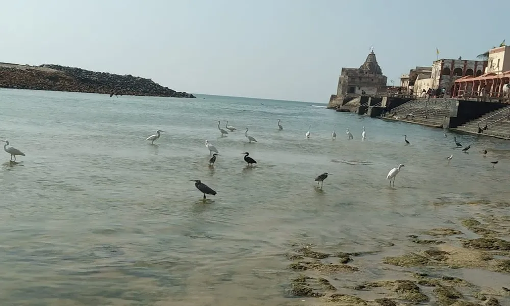 Img 20210110 Wa0045