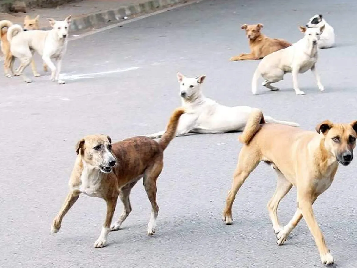 1 2.Jpg