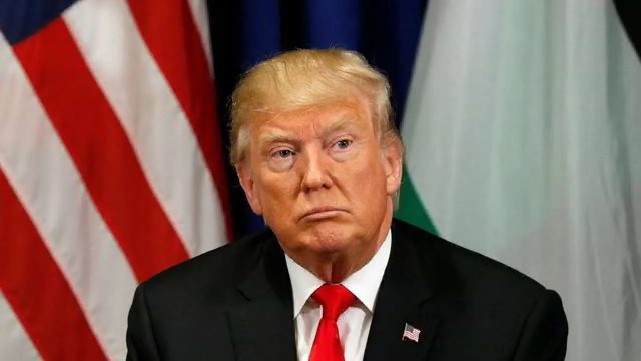 957505 951965 885694 Donald Trump