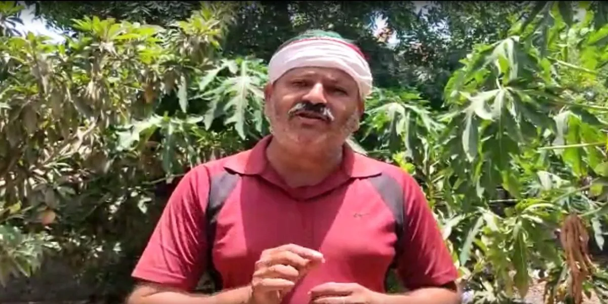 Pal Ambliya.jpg