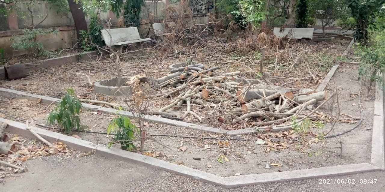 Img 20210602 Wa0019.Jpg