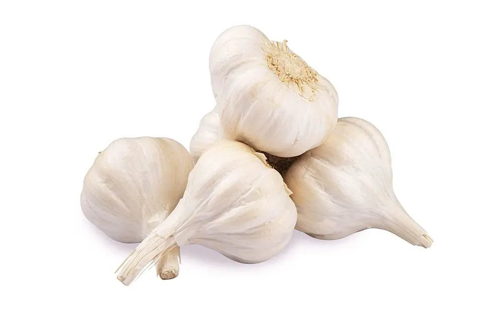 Lasan.jpg
