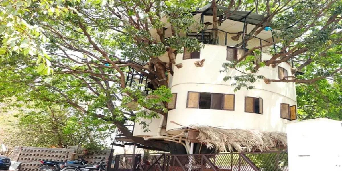 Tree Home