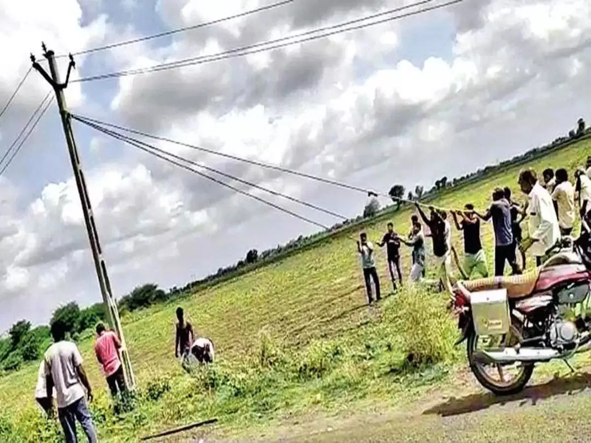 Vij Pole