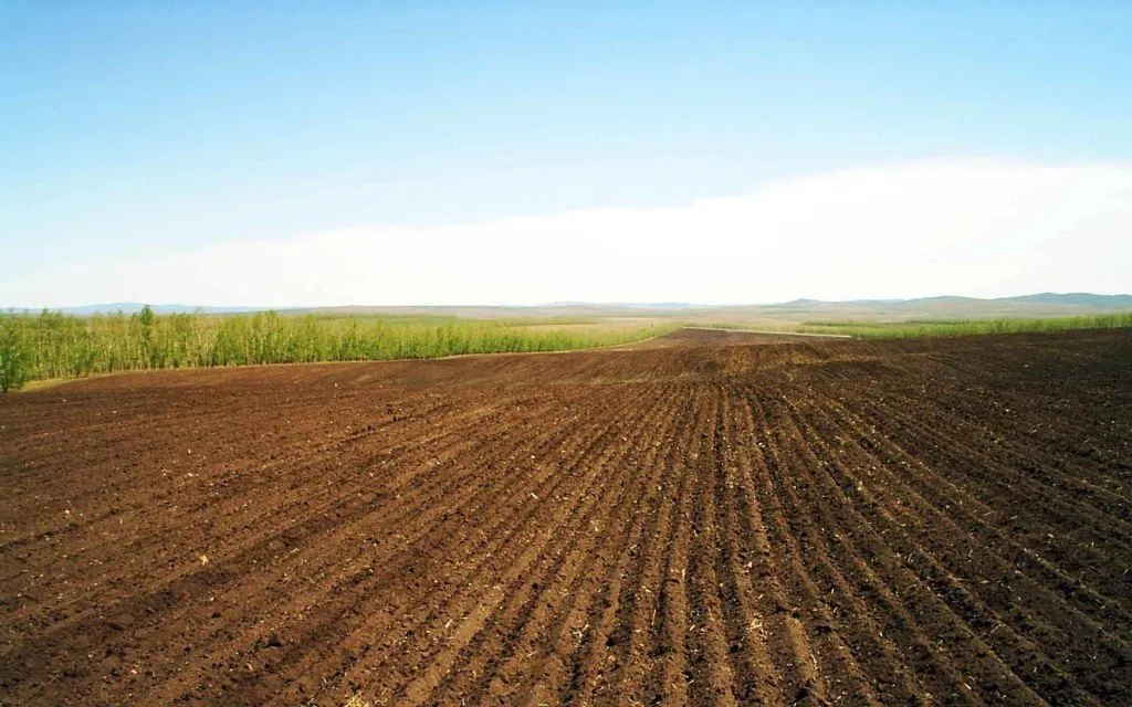 Kheti Farming Farm