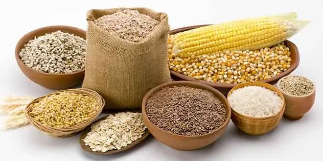 Whole Grains.jpg