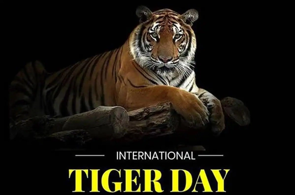 tiger day.jpg