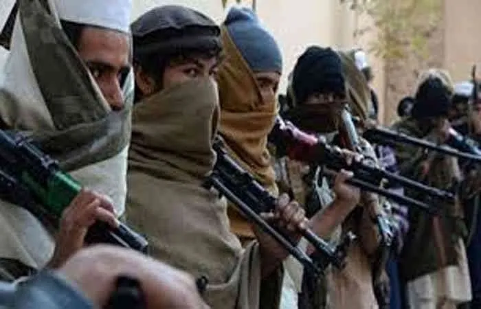 Terrorist
