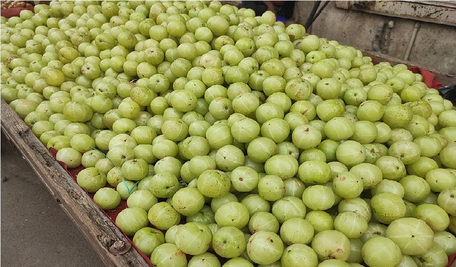 Amla.jpg