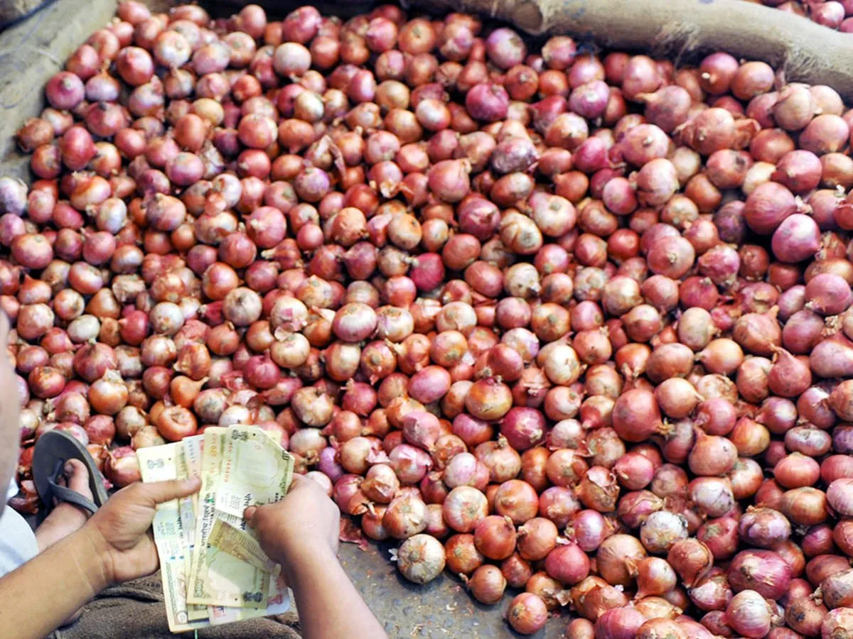 Onion