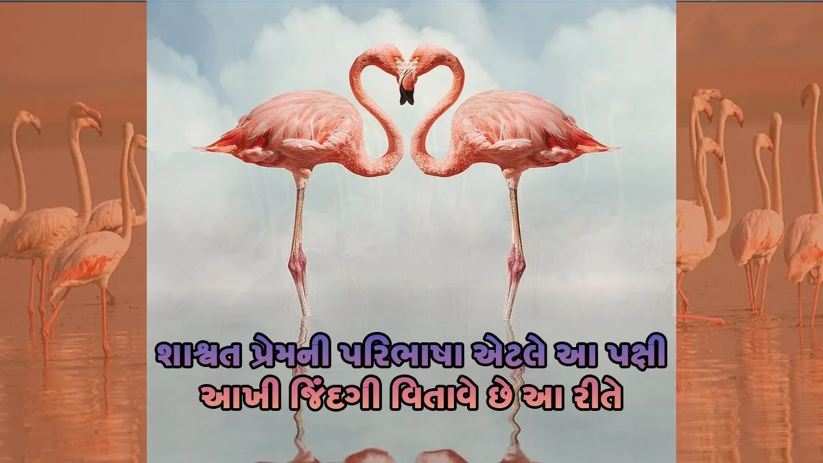 Whatsapp Image 2023 01 05 At 9.48.35 Am