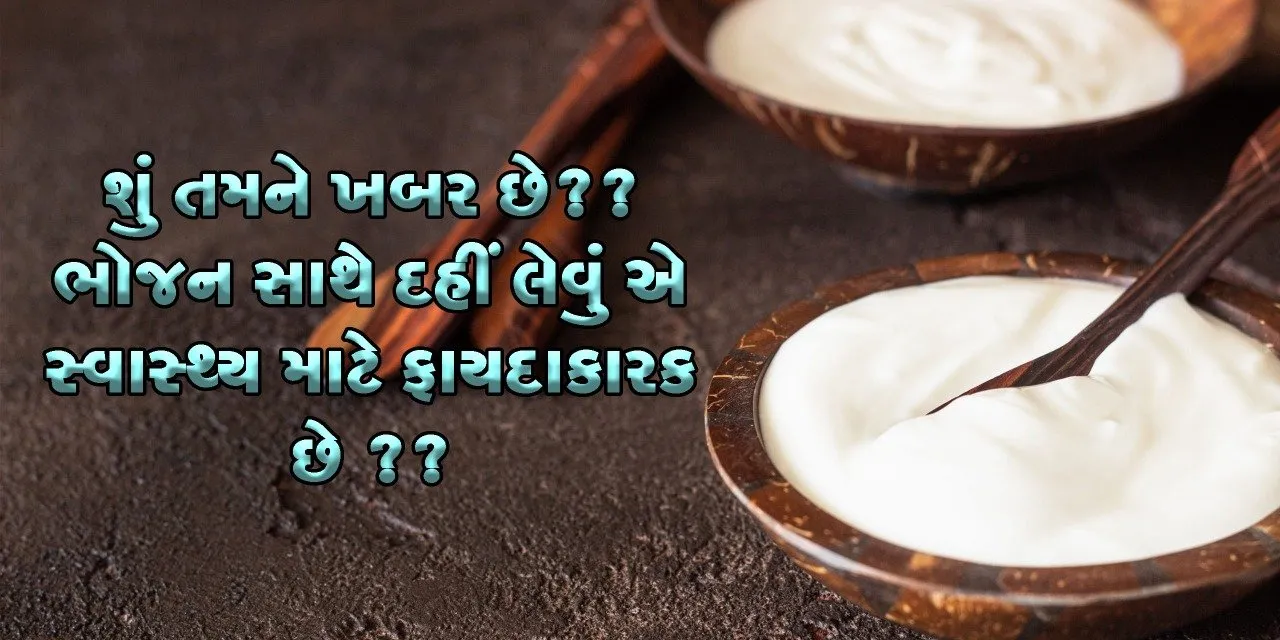 Whatsapp Image 2023 01 10 At 11.00.14 Am